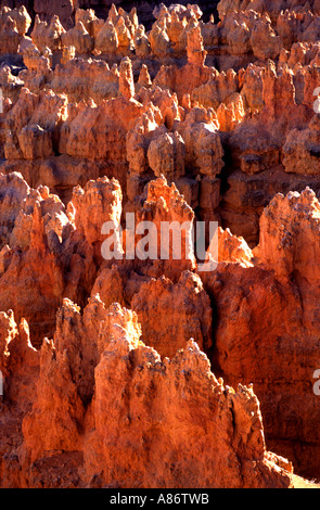 Bryce Canyon National Park in Utah USA Amerika Stockfoto
