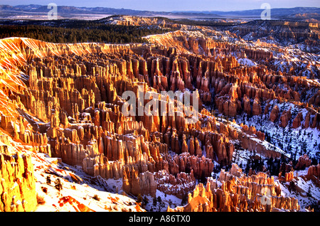 Bryce Canyon National Park in Utah USA Amerika Stockfoto