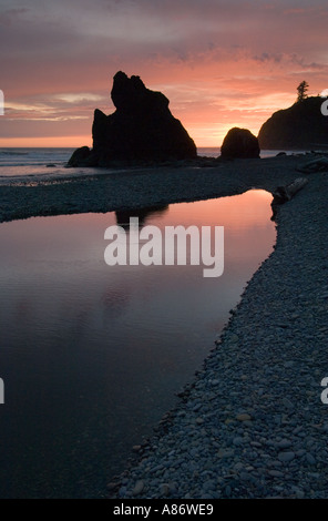 Olympic Nationalpark WA Ruby Beach Sunset Mai Stockfoto