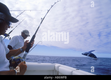 Big Game Fischer in Buckelwal in Hawaii Kona Küste eingehakt Stockfoto