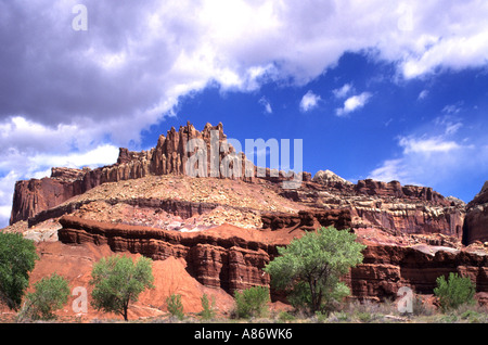 Nationalpark Natur Capitol Reef Utah USA Stockfoto