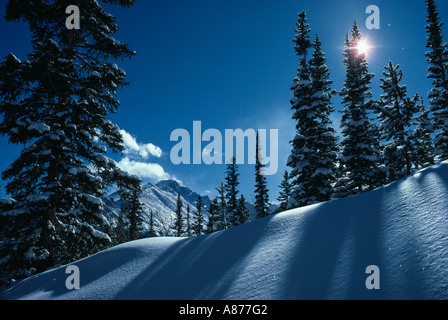 Wintersonne wirft lange Schatten auf einer Winterlandschaft auf Schnee Weg zum Traum-See in Colorado Rock Mountain National Park Stockfoto