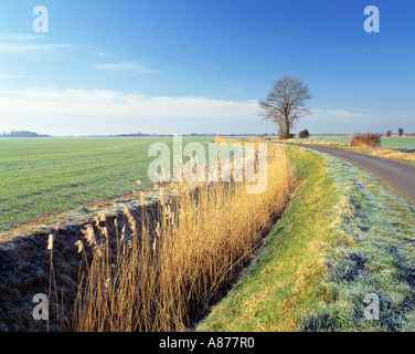 GB-KENT ROMNEY MARSH Stockfoto
