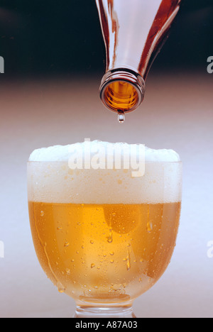 Letzten Tropfen Bier hängt an der Lippe eine braune Flasche vor fallen durch den Kopf von Schaum in ein Schoner von Bier Stockfoto