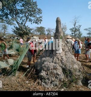 Menschen, die Prüfung einer Termite Mound auf ein Land Rover Safari, Gambia, Westafrika Stockfoto