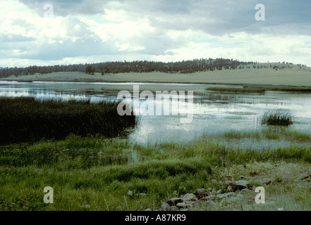 Mexican Hay Lake near Greer ARIZONA USA July Stockfoto