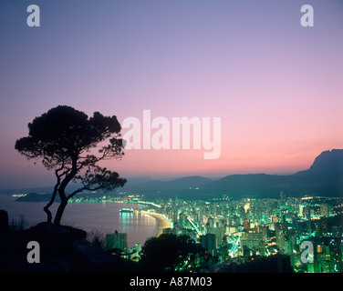 Blick über das Resort kurz nach Sonnenuntergang, Benidorm, Costa Blanca, Spanien Stockfoto