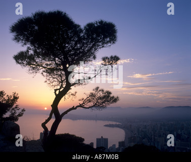 Blick über das Resort bei Sonnenuntergang, Benidorm, Costa Blanca. Spanien Stockfoto