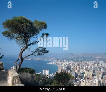 Blick über den Ferienort Benidorm, Costa Blanca, Spanien Stockfoto