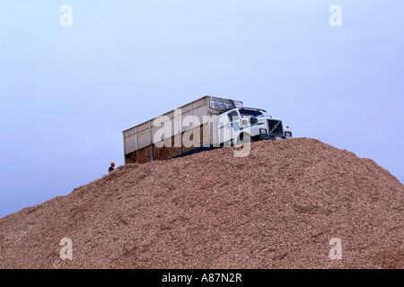 Sattelzug auf einen riesigen Haufen Hackschnitzel in Ancud auf der Insel Chiloé-Chile Stockfoto