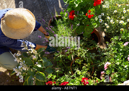 Woman Modell freigegeben neigende Blumentöpfe in einem Garten Dorset England UK Stockfoto
