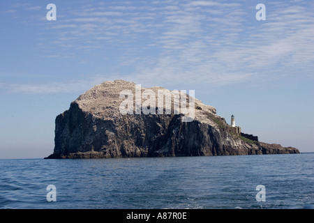 Bass Rock mit Kolonie der Basstölpel North Berwick Schottland Schachtelung Stockfoto