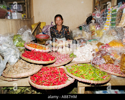 Frau an ihrem Stand verkaufen Chilischoten und Zwiebeln, Markthalle, Madiun, Java, Indonesien Stockfoto