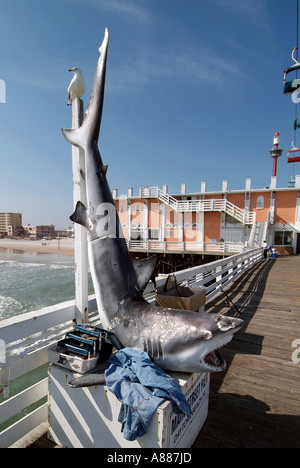 Angeln Wandern und andere Aktivitäten finden statt auf der Pier und Boardwalk am Daytona Beach Florida FL am Atlantischen Ozean Stockfoto