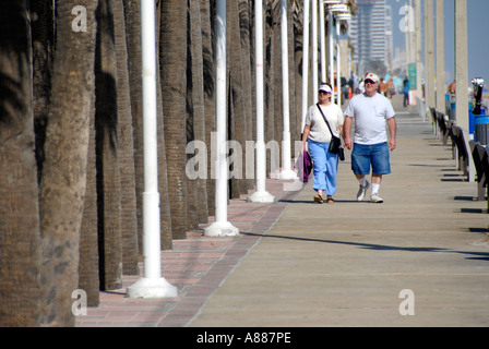 Mann und Frau gehen auf der Promenade zwischen den Reihen von Palmen am Daytona Beach Florida FL Stockfoto