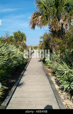 Turtle Mound Abschnitt der Hügelbauer Florida Indian Stockfoto