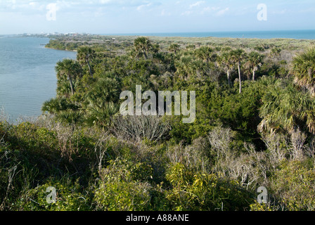 Turtle Mound Abschnitt der Hügelbauer Florida Indian Stockfoto