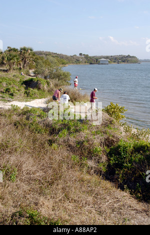 Turtle Mound Abschnitt der Hügelbauer Florida Indian Stockfoto