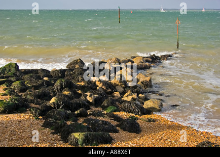 Buhne an der Knurrhahn Bucht, Isle Of Wight Stockfoto