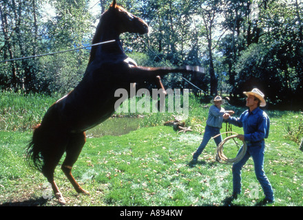 DAS Pferd WHISPERER 1998 Buena Vista Film mit Robert Redford Stockfoto