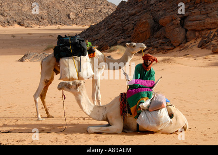 Tuareg lädt Kamele in der Wüste Acacus Libyen Stockfoto