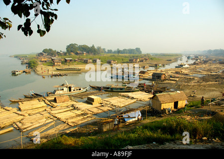 Schwimmen schwimmt auf dem Fluss Ayeyarwady Buffalo Punkt Mandalay Myanmar Stockfoto