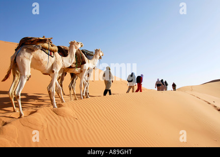 Kameltrekking durch die Wüste Libyen Mandara Stockfoto