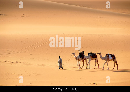 Tuareg geht mit Kamelen durch die Wüste Libyen Mandara Stockfoto