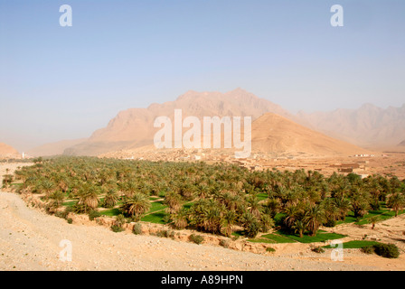 Oase mit Dattelpalmen im Wadi Tisgui Ida Ou Ballou Anti Atlas Marokko Stockfoto