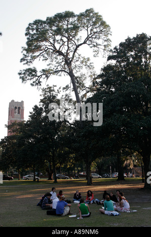 Gainesville Florida, University of Florida, Plaza of the Americas, Studenten Bildung Schüler Schüler, Century Tower, Besucher reisen Reise Tour t Stockfoto