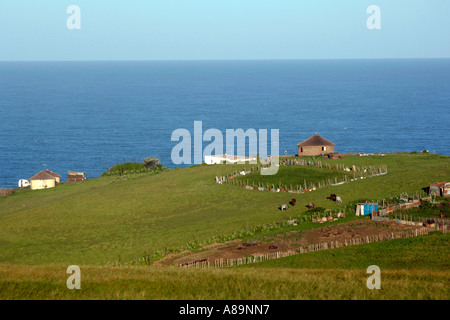 Xhosa-Hütten und ein Viehverschlag entlang der Straße Mazeppa Bay in der Provinz Ostkap in Südafrika. Stockfoto