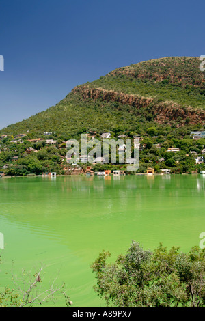 Die Hartbeespoort Verdammung in Nordwestprovinz Südafrikas. Das Wasser ist grün durch Algenwachstum. Stockfoto