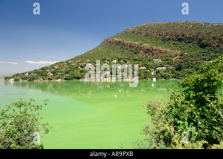 Die Hartbeespoort Verdammung in Nordwestprovinz Südafrikas. Das Wasser ist grün durch Algenwachstum. Stockfoto