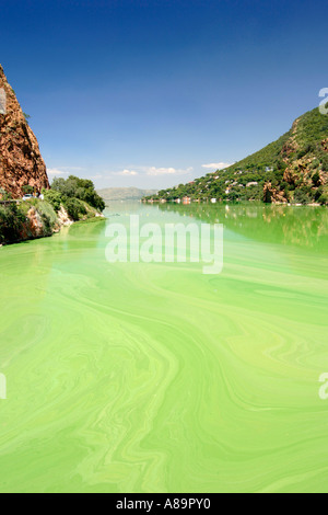 Die Hartbeespoort Verdammung in Nordwestprovinz Südafrikas. Das Wasser ist grün durch Algenwachstum. Stockfoto