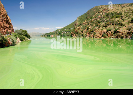 Die Hartbeespoort Verdammung in Nordwestprovinz Südafrikas. Das Wasser ist grün durch Algenwachstum. Stockfoto