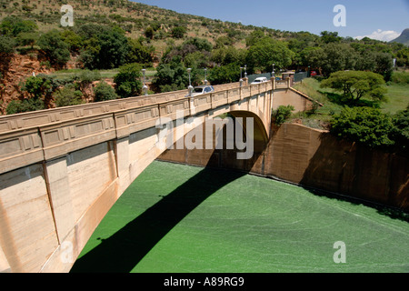 Hartbeespoort Dam bypass-Kanal im Süden Afrikas North West Province. Das Wasser ist durch Algen grün. Stockfoto