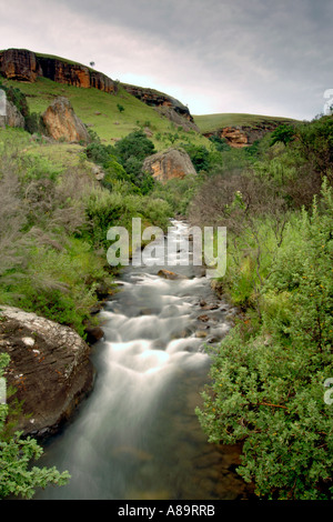 Die Bushmans River am Fuße der Burg des Riesen in den Drakensbergen von Südafrika s Provinz Kwazulu Natal. Stockfoto