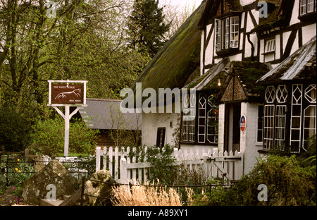 Berkshire Woolstone dem weißen Pferd reetgedeckten pub Stockfoto