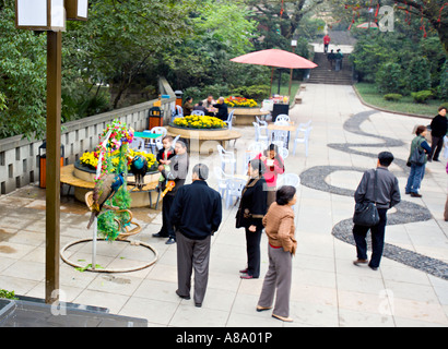 CHINA CHONGQING chinesischen Familien bewundern Pfauen im Hilltop Park in Chongqing Stockfoto