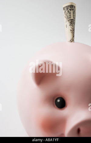 Dollar in ein Sparschwein gefüllt Stockfoto