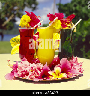 Drei helle rote gelbe und grüne tropische Früchte Getränke auf Tablett mit exotischen Blumen die Fidschi Inseln Stockfoto