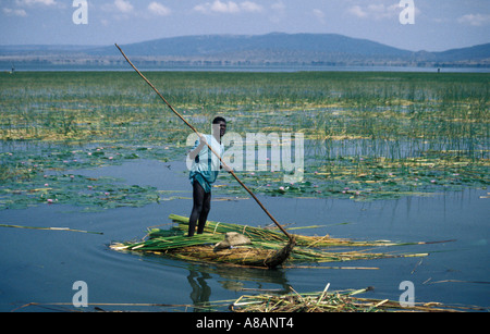 Mann auf Papyrus-Boot sammeln Schilf vom See Awassa, Awassa, Äthiopien Stockfoto