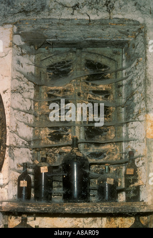 Dusty und Spinnennetz bedeckt Fenster und Flaschen in einem Cognac Keller Frankreich Stockfoto