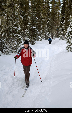 CROSS COUNTRY Skifahrer HOODOO im Skigebiet in der Nähe von McKenzie Pass Schwestern OREGON Stockfoto