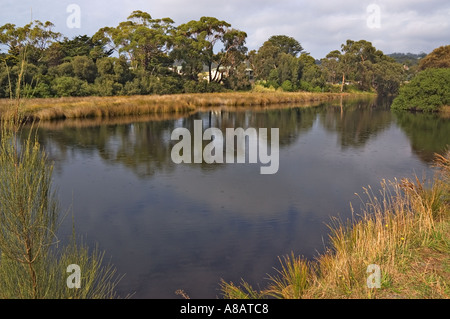 See in der Nähe eines Campingplatzes in Lorne auf der Great Ocean Road Stockfoto