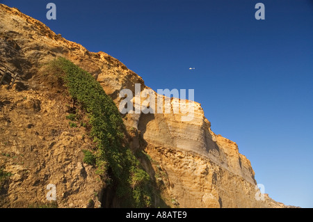 Cliff auf Gibsons Stufen in der Nähe der zwölf Apostel an der Great Ocean Road in Victoria Australien Stockfoto