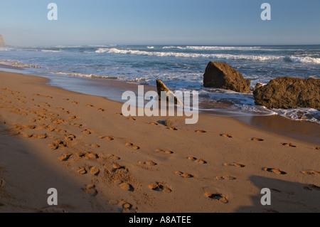 Strand von Gibsons Stufen in der Nähe der zwölf Apostel an der Great Ocean Road in Victoria Australien Stockfoto