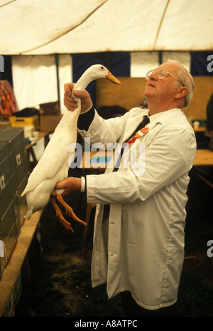 Newark, Nottinghamshire England Nottingham County Show. James Crawford beurteilt eine Ente in der Wildvögel-Sektion der Show. HOMER SYKES der 1990er Jahre Stockfoto