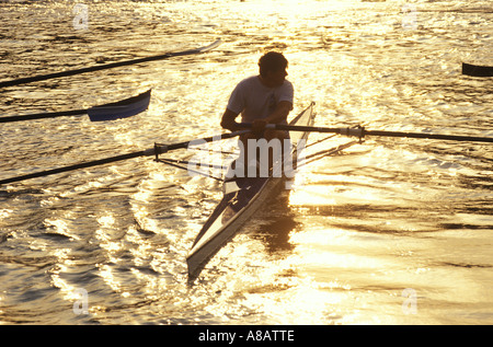 Sculling, ein einziges Schädel-Ruderboot, Henley Royal Rowing Regatta. Henley auf der Themse, Berkshire England. 1990ER UK 1995 HOMER SYKES Stockfoto