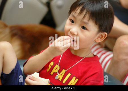 5 Jahre alten chinesischen Asian Boy trägt ein rotes t-shirt Stockfoto